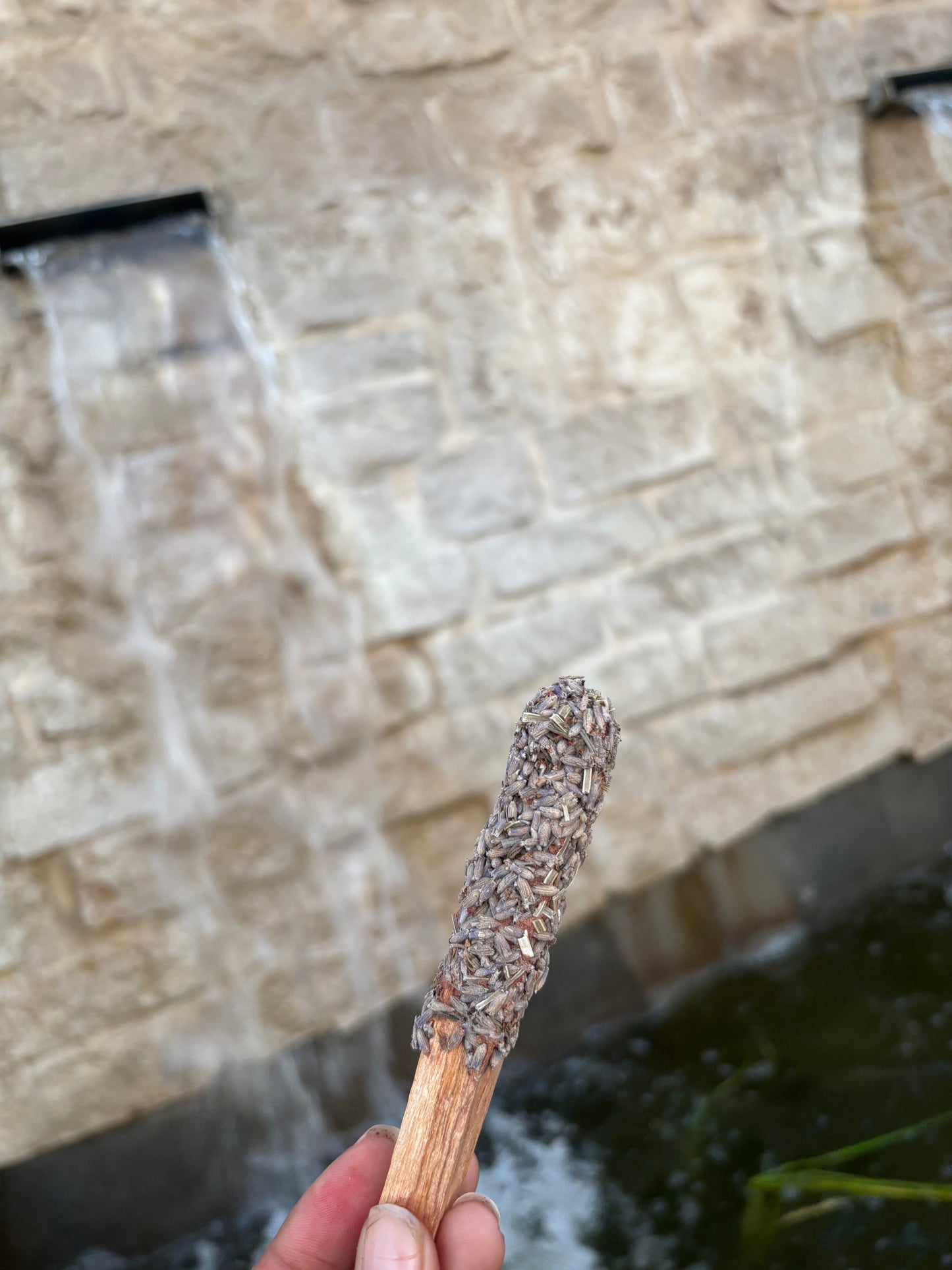 💜🪻Lavender-Coated Palo Santo Stick✨